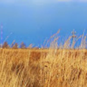 Meet your Posher, Kellie